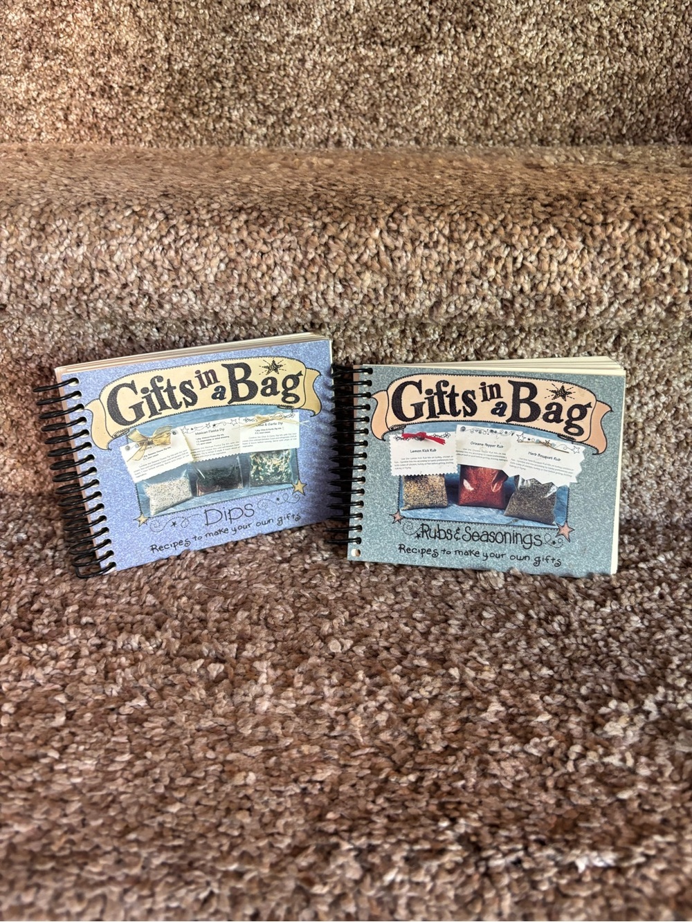 Gifts in a Bag Recipe Book Duo - Dips & Rubs/Seasonings - Teal & Light Blue